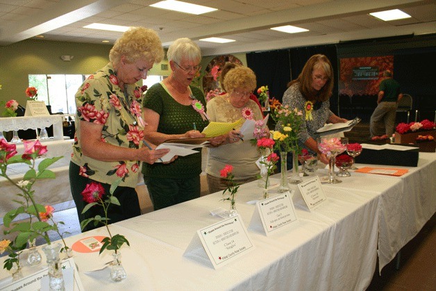 Judges at the Kitsap County Rose Society show in Silverdale critique bloomed roses. Roses were judged based on form