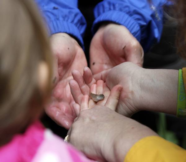 Salmon savvy: Preschoolers learn about salmon, up close | Kitsap Daily News