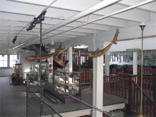 Newly remodeled Of Sea and Shore Museum is ready for visitors.