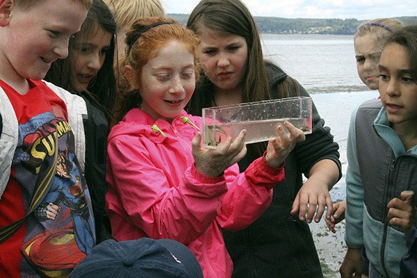 Cordelia Glass holds a viewing tank. Her fellow classmates gently put the fish from the net into the tank so everyone could get a closer look.