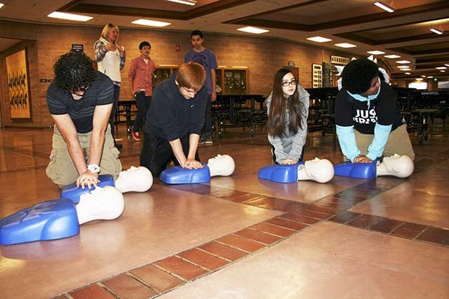 Students practice CPR on dummies during a training course at Bremerton High School this week.