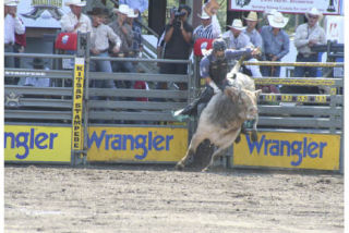 World champion bull rider J.W. Harris shoots out of the gate during Sunday’s Xtreme Bulls competition. Harris was bucked off
