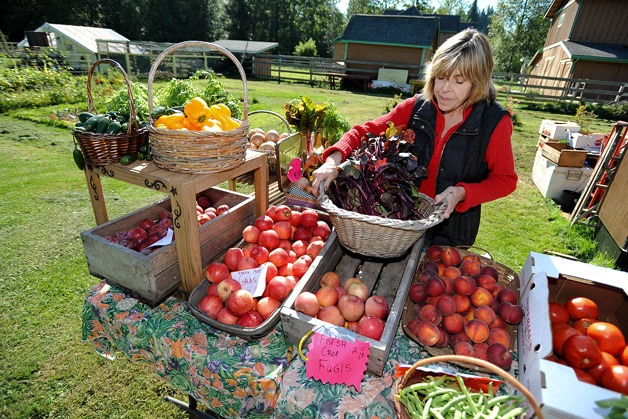 Scandia Farm and Garden owner Pam McNeil stocks veggies at her roadside stand near Poulsbo.