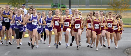 The Kingston and North Kitsap high school cross country teams will compete at the state championships Saturday in Pasco.