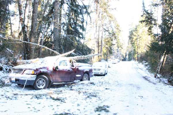 A truck parked on the side of Port Gamble Road near Lamms Lane was crushed by a tree on Nov. 22 during the winter storm. Cars that could not make it up steep driveways lined the roads of North Kitsap.