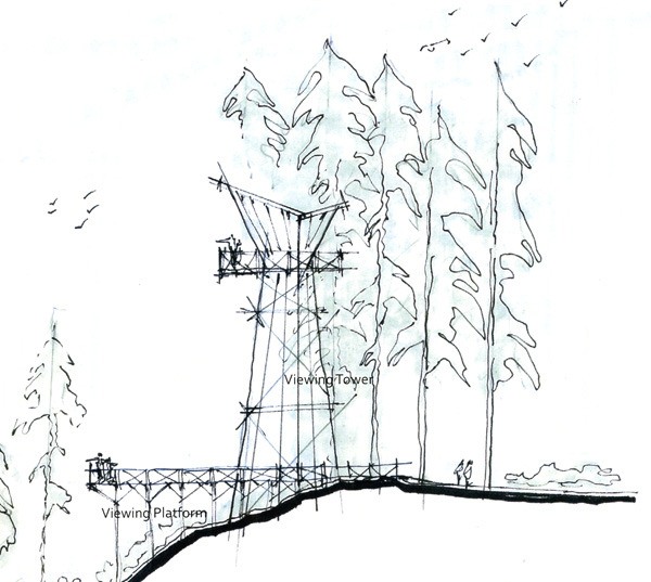 Among the distinctive features the McCormick Village Park could include is a raised platform from which visitors could view the forest canopy from above.