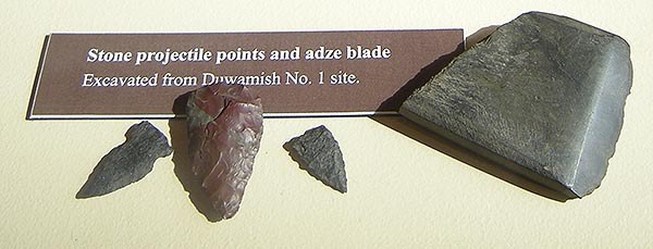 Projectile points and a stone adze blade from Duwamish No. 1
