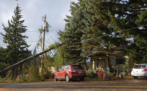 A wind-blown tree strains power lines near a home at 4132 W. F Street in Bremerton on Thursday. 'It sounded like metal smashing metal ... BOOM!