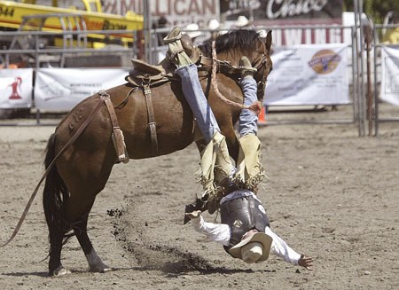 The all-volunteer Thunderbird Pro Rodeo heads to Silverdale for a fifth consecutive year today and runs through Sunday.