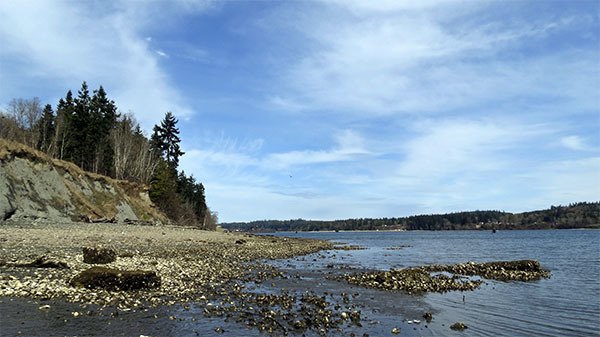 More than a mile of Port Gamble Bay shoreline and 535 upland acres were recently acquired for conservation