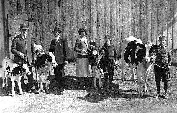 Blue-ribbon livestock in the Kitsap County Fair have always been a big draw. This photo shows cows and calves entered in 1923.