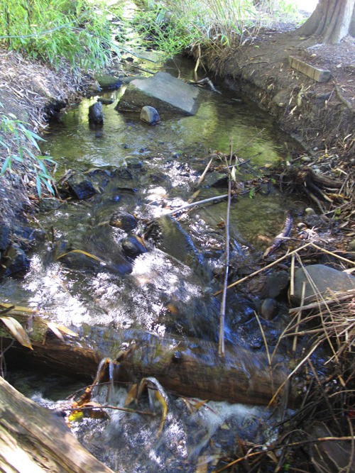 The south fork of Dogfish Creek runs through Centennial Park near the Poulsbo Village.