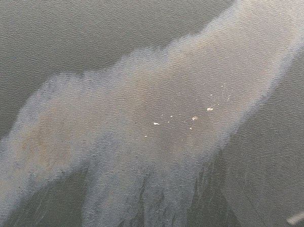 Sheen is visible on Hood Canal