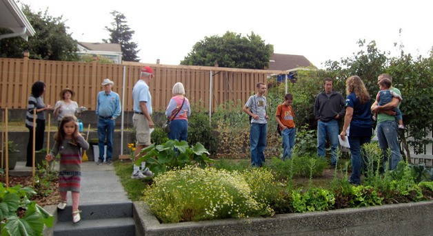Residents of Bremerton's Manette neighborhood have converted front and back yards into suburban farms