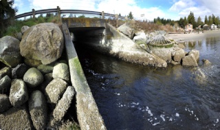 The Kingston Slough near Arness Park is one waterway in Kitsap County competing for federal restoration money.