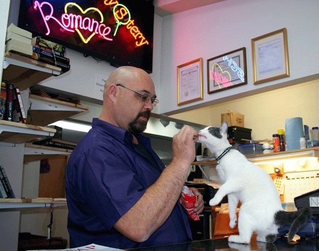 Owner David Hunt gives Ender a treat. The cat has become an unofficial mascot of Pages Books in Silverdale.