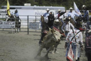 The 2008 Thunderbird Rodeo was a big hit as temperatures eclipsed 90 degrees. Volunteers believe this year’s event