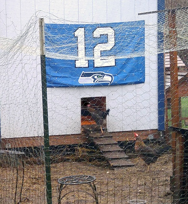 Cindy and Dale Blattman's Seabeck henhouse features a 12 flag.