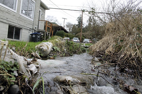 A creek runs through it: Sandbags line the banks of the south fork of Dogfish Creek as it flows across 19159 8th Ave.