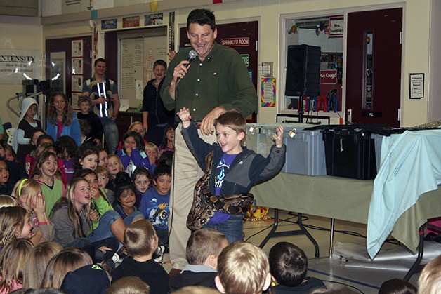 Second-grader Cody Sigman raise his hands as a boa constrictor tightens itself around him during “The Reptile Man” show. Nearly 400 Silver Ridge Elementary students