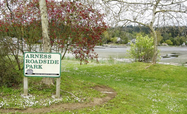 Arness Roadside Park is one of many places to watch birds — whether for a survey or for pleasure.