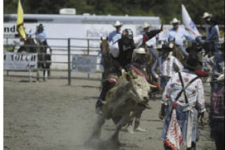 The 2008 Thunderbird Rodeo was a big hit as temperatures eclipsed 90 degrees. Volunteers believe this year’s event