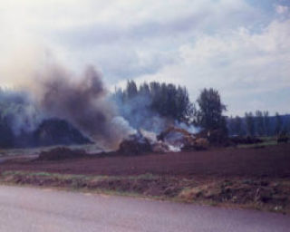A permanent land-clearing burn ban begins Sept. 1 in Kitsap County. Outdoor burning of trees