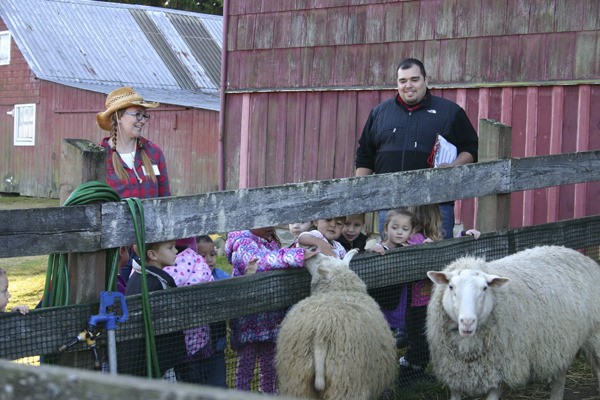 Port Gamble S'Klallam Head Start students met sheep