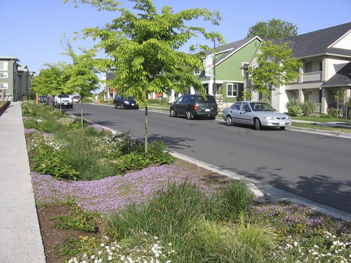 Rain gardens are attractive and help control and clean     stormwater runoff.