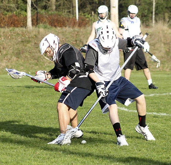 Members of the North Kitsap boys varsity lacrosse team vie for a ground ball during a recent practice at Strawberry Field in Poulsbo. The team is 1-3 but is poised to improve on its 2013 record.