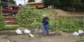 Blueberry Park has a 75-plot community garden and people come to the park daily to care for their gardens. The park even has raised beds available for people who cannot work in ground-level ones.