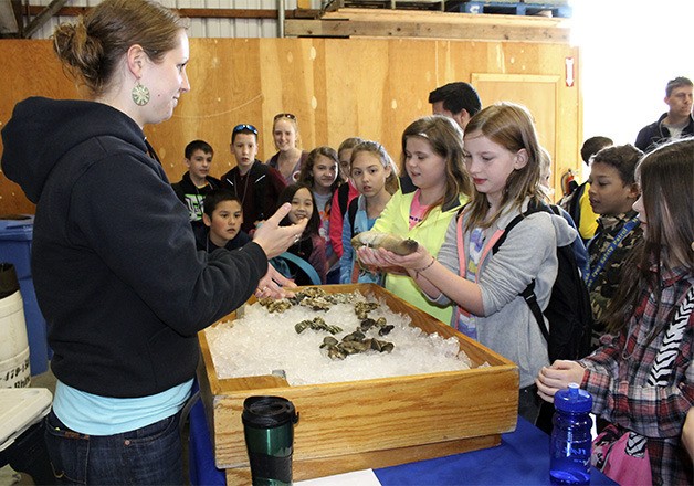Students examine a geoduck during the 2014 Kitsap Water Festival as Jennifer Whipple explains the importance of shellfish. The festival drew more than 1