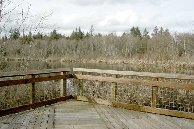 A platform and boardwalk offer views of Carpenter Lake in Kingston.