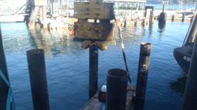 One of the first series of steel pipes being used to replace creosote piers at ferry terminals.