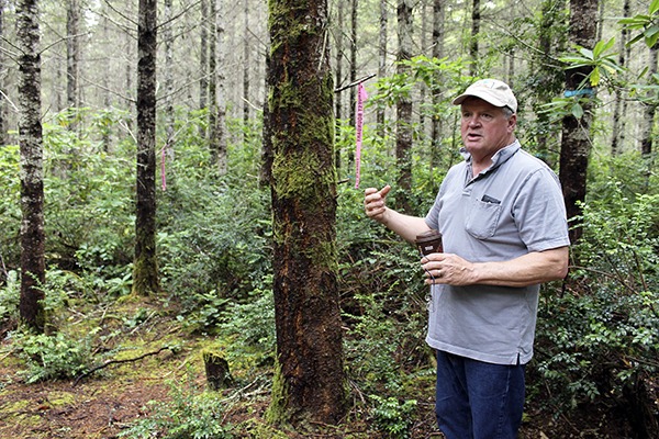 Kitsap County Forester Arno Bergstrom talks about the tree thinning process at Newberry Hill Heritage Park.