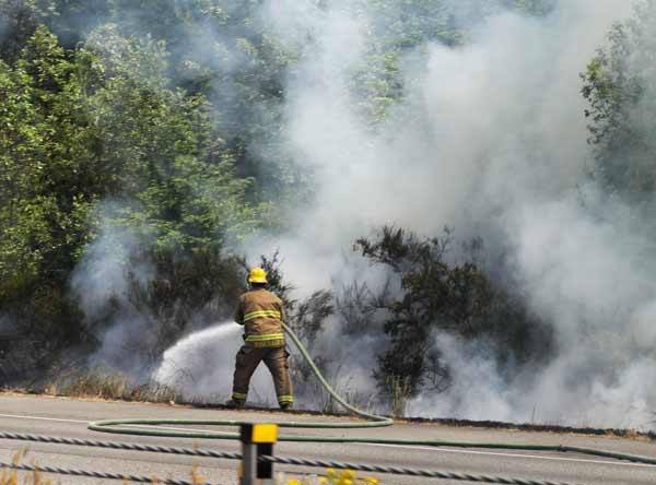 A firefighter from the Poulsbo Fire Department extinguishes the flames of a brush fire just off the northbound lane of Highway 3 near Sherman Hill Road June 11.