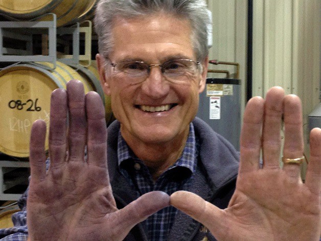 Wade Wolfe shows his stained hands during the 2013 harvest at his winery in Prosser. He is the region’s most prolific producer of port-style wines.