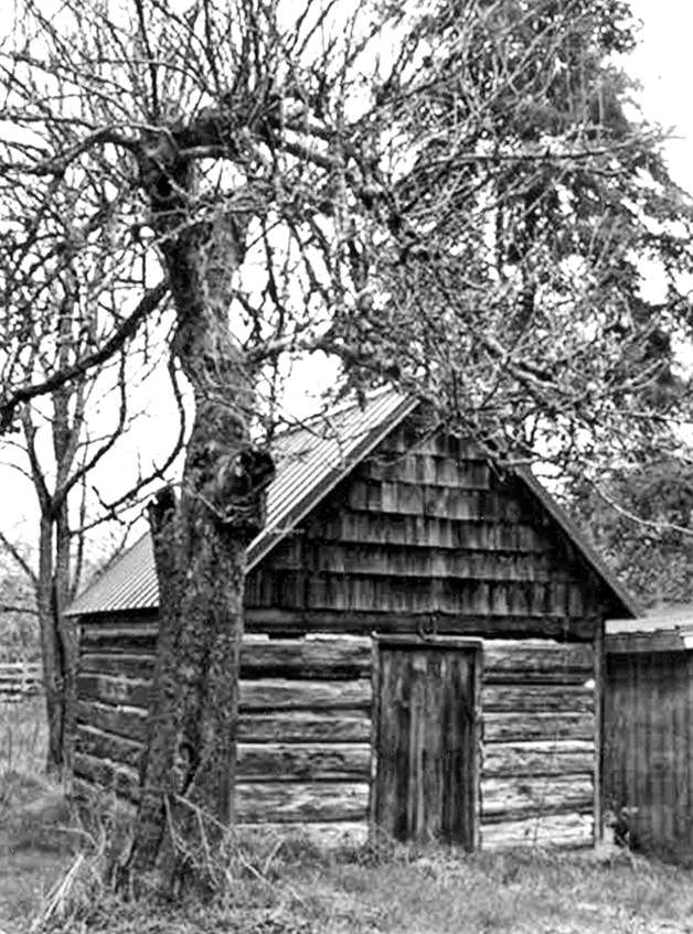 Kingston cabin provides spooky setting | A Glance At The Past | November