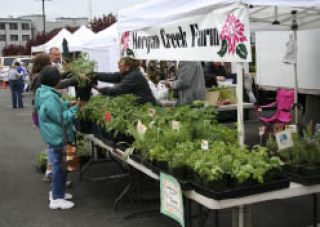 Donna White (right) of Morgan Creek Farm helps a customer Tuesday at the Silverdale Farmers Market. The market is open every Tuesday now through the end of September next to the Silverdale Beach Hotel.