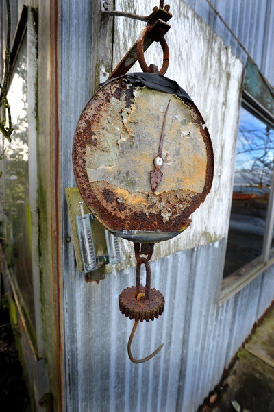 Rusty reminders of busier days | Picture This | March