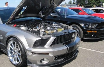 A 2008 GT 500 Supersnake won Best in Show at the annual Mustangs on the Waterfront car show last Sunday.