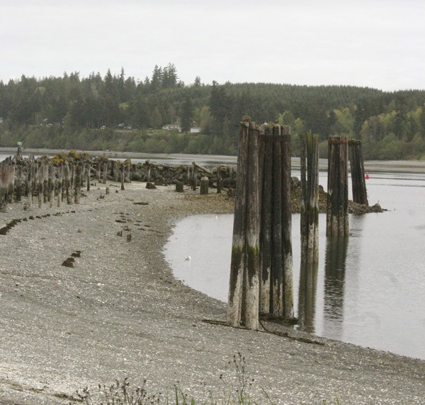 The old dock on the Pope Resources mill site may be the site of a new dock.
