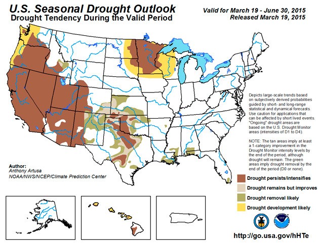 A graphic produced by the National Oceanic and Atmospheric Administration indicates that western Washington is likely to experience drought conditions this summer.