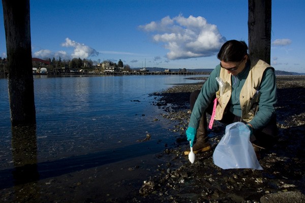 Port Gamble S'Klallam is applying for grants to clean up Point Julia and Gamble Bay.
