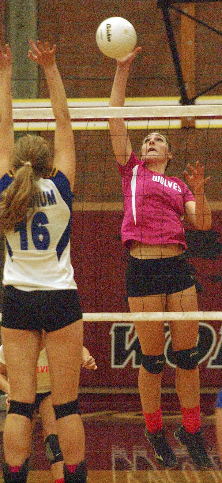 South Kitsap senior middle blocker Courtney Schmidt believes the Wolves can build on their first district playoff appearance since 2008 this year.