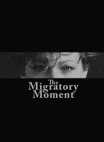 Marnie Holt Swenson's 'The Migratory Moment.'