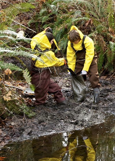 Volunteers remove debris and sediment from a rearing pond