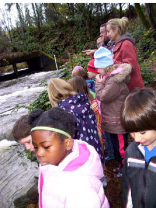 Peace Lutheran School second-graders took a field trip to Chico Creek Nov. 16 to release the salmon they raised in the  classroom.
