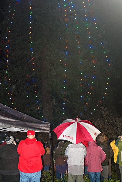 People attending the Tracyton Community Christmas Celebration Dec. 6  stand under umbrellas and tents to avoid getting drenched by rainfall as the tree is lit. The event was held at Tracyton United Methodist Church. A band played