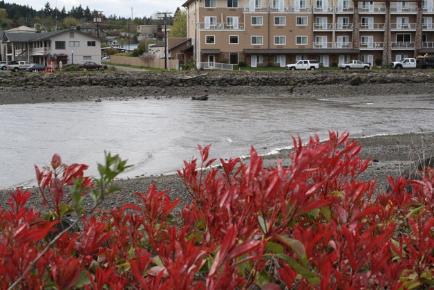 Volunteers with the Clear Creek Task Force have plans to place a footbridge at the northern portion of the trail along Dyes Inlet near Hop Jack’s and the Silverdale Beach Hotel.